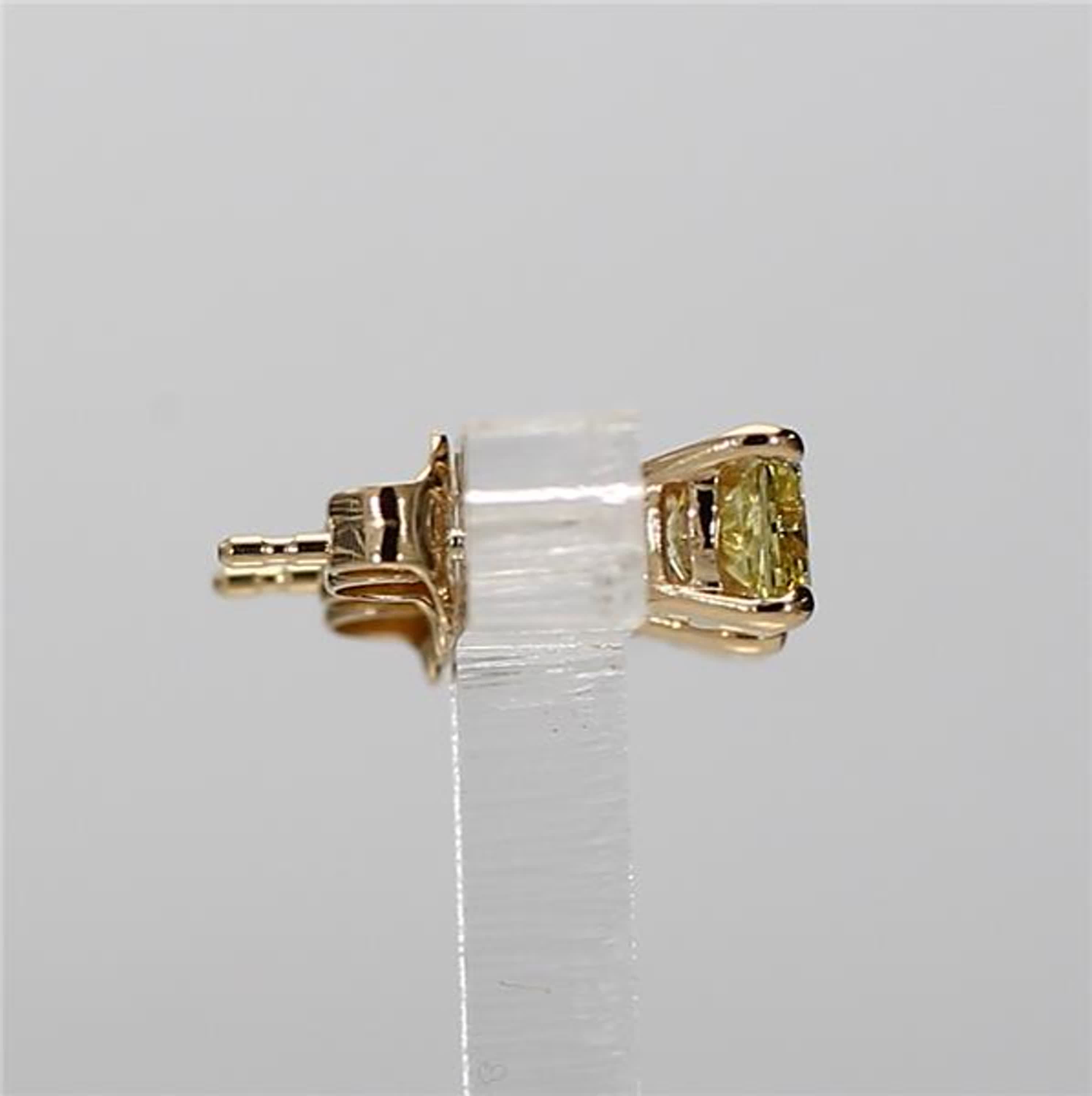 GIA Certified Natural Yellow Radiant Diamond 1.84 Carat TW Gold Stud Earrings