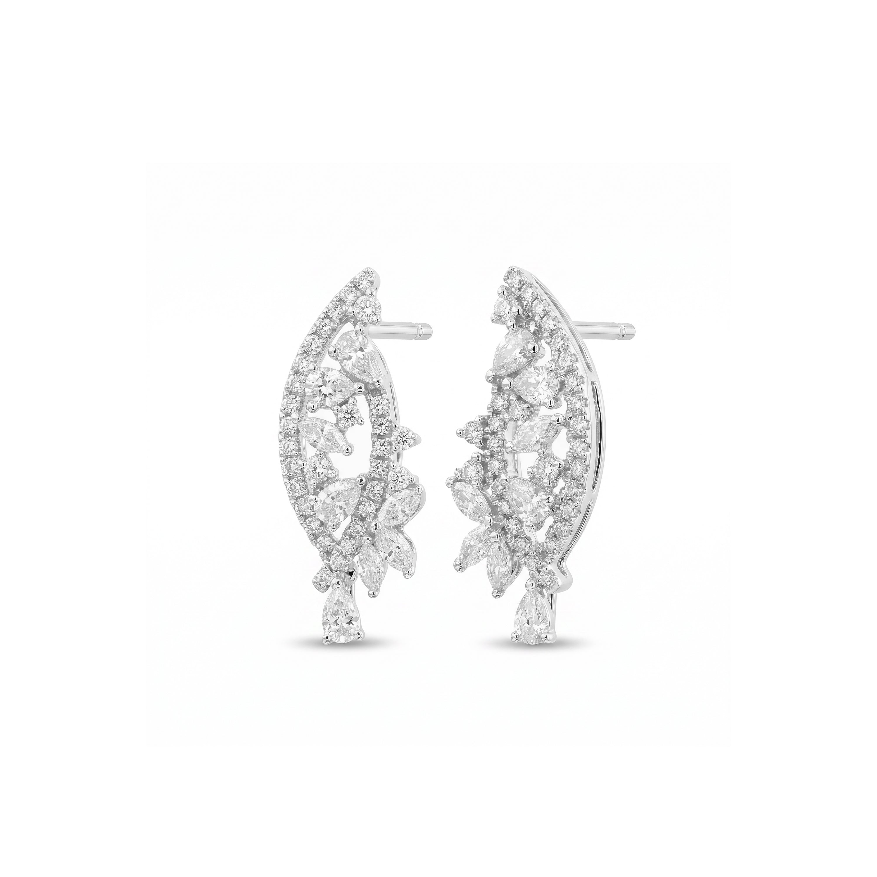 Natural Multi-shape Diamond Earrings