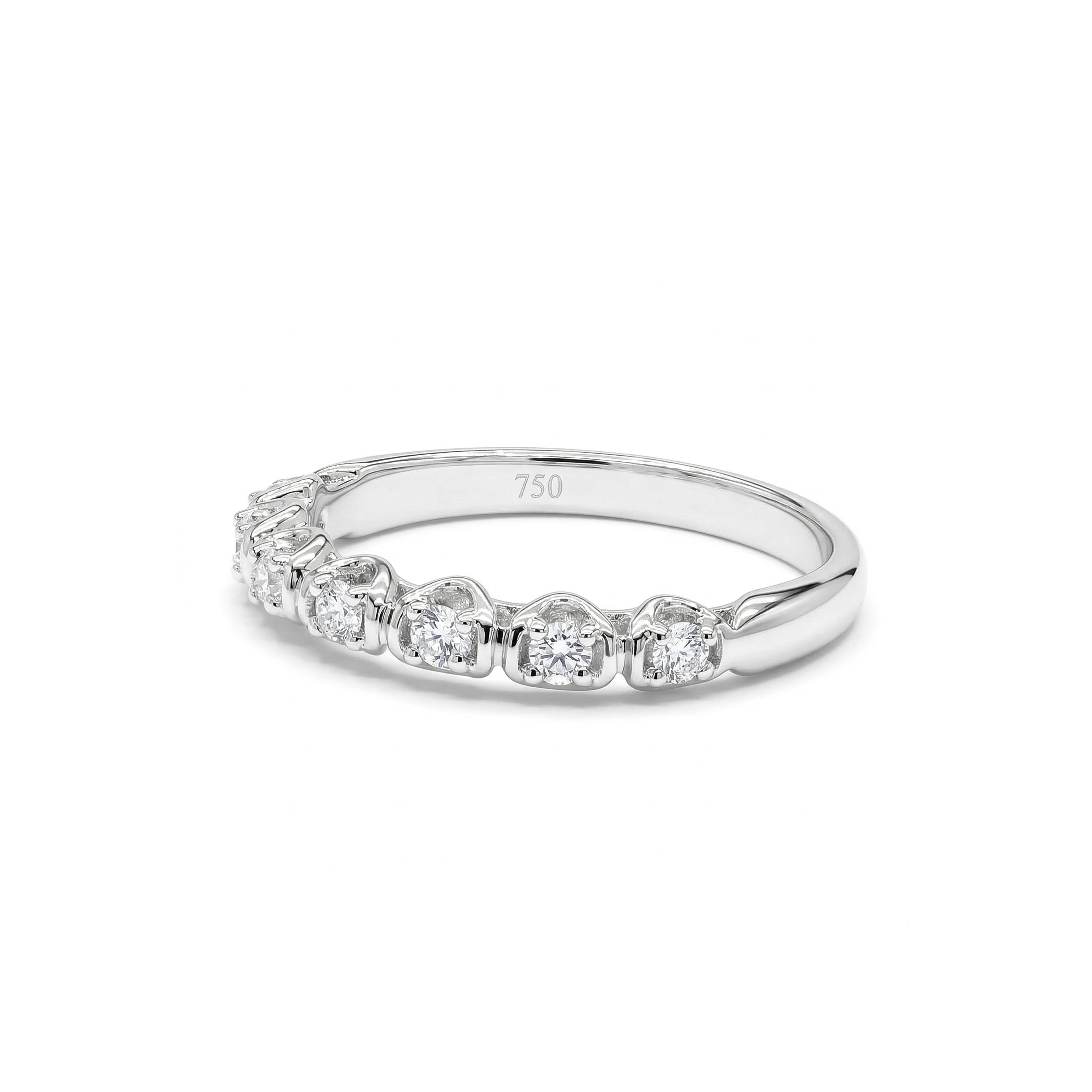 Natural White Round Diamond Band product image 1